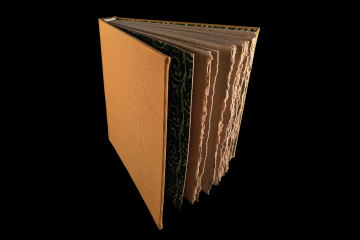 Wilder_Art_Book_Icon.png
